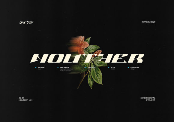 Nouther: A Modern Display Font for Scroll-Stopping Brand Content