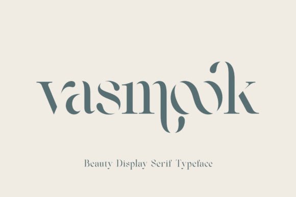 Vasmook: A Serif Font That Makes Campaigns Feel Finished